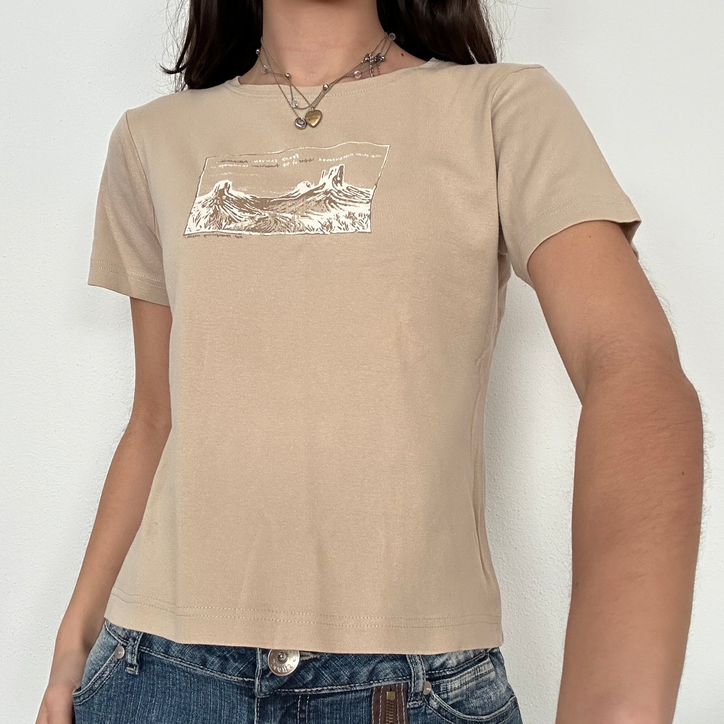 Y2K Vintage Canyon Print Tshirt