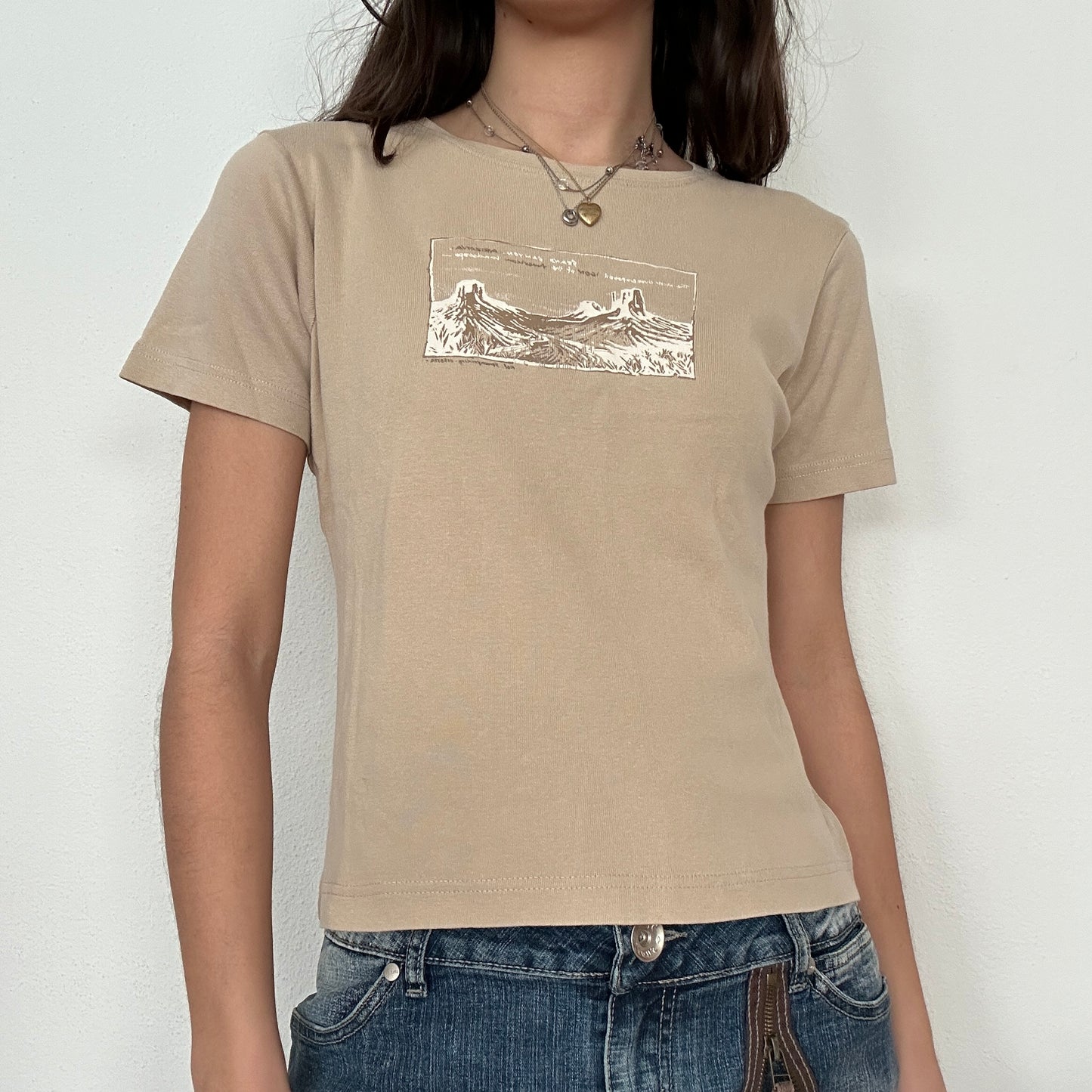 Y2K Vintage Canyon Print Tshirt